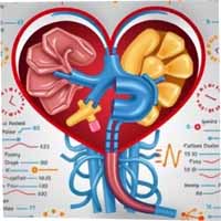 Erectile Dysfunction